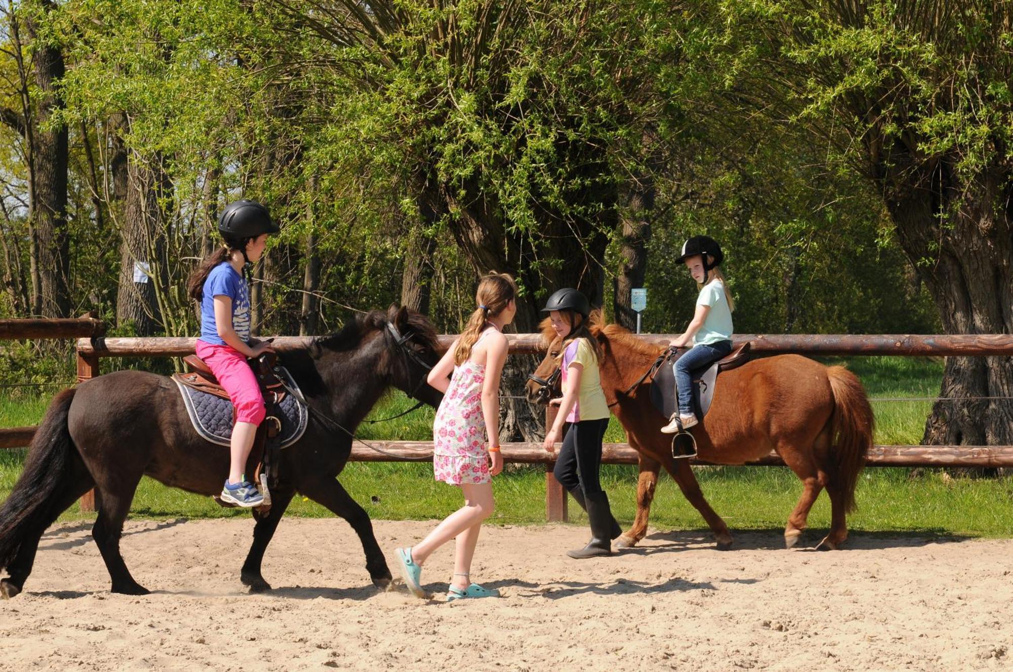 Camping De Meibeek Ruurlo Extérieur photo